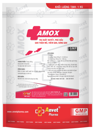AMOX (+LE)