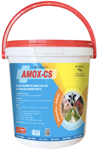 AMOX-CS 50