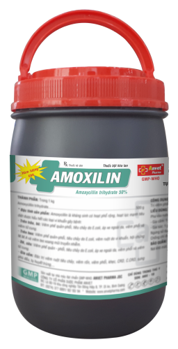 AMOXILIN 50