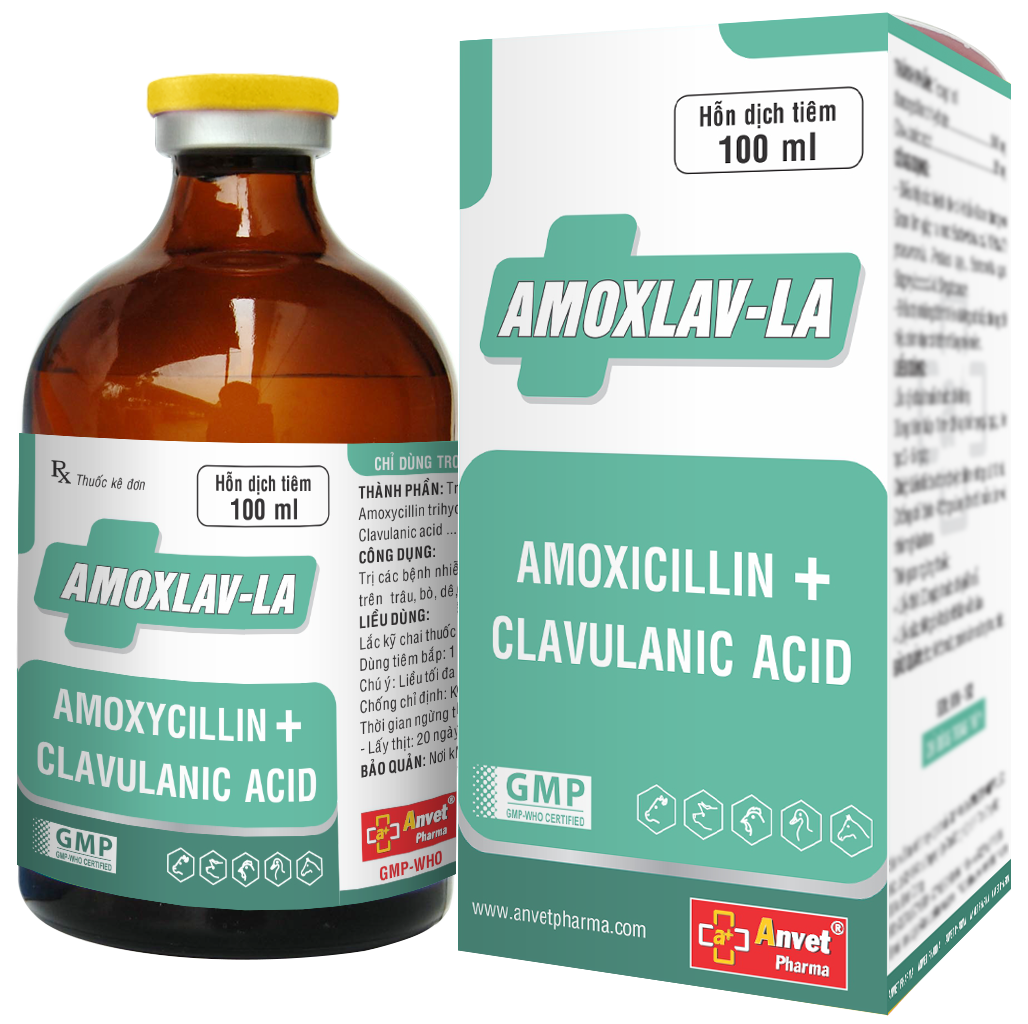 AMOXLAV-LA