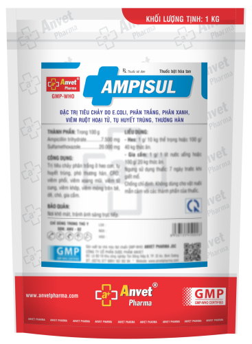 AMPISUL