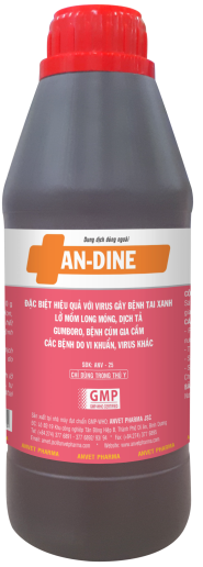 AN-DINE