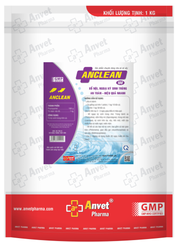 ANCLEAN 100