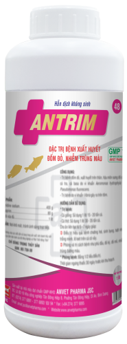 ANTRIM