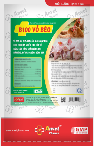 B100 VỖ BÉO (TRỘN)