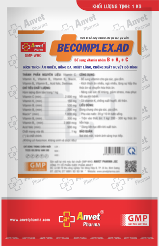 BECOMPLEX.AD