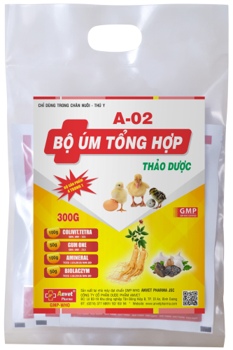 BỘ ÚM TỔNG HỢP A-02