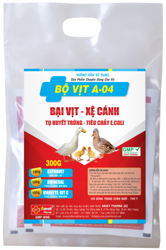 BỘ VỊT A-04