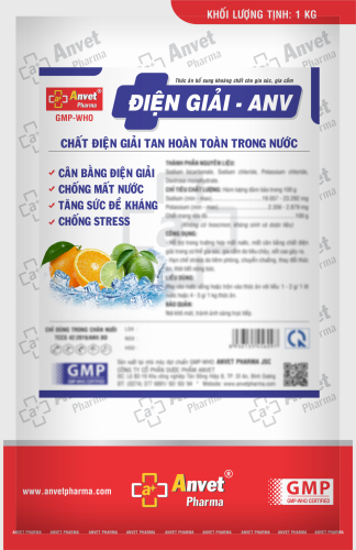 ĐIỆN GIẢI – ANV