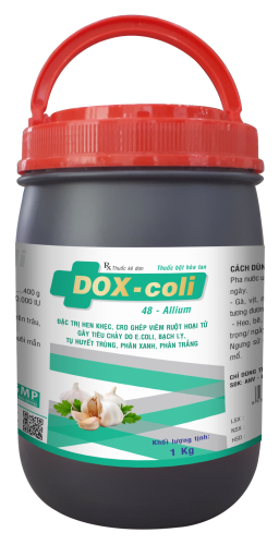 DOX-COLI 48-Allium
