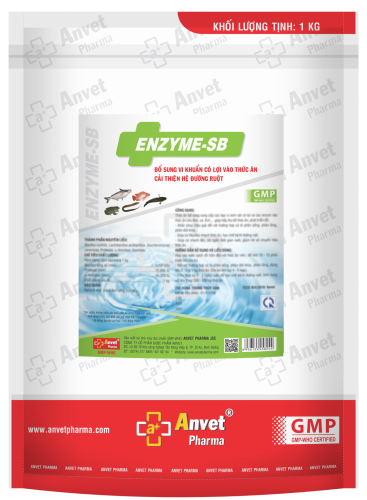 ENZYM - SB