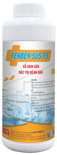 FENBEN SUS FS