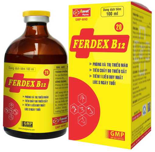 FERDEX B12