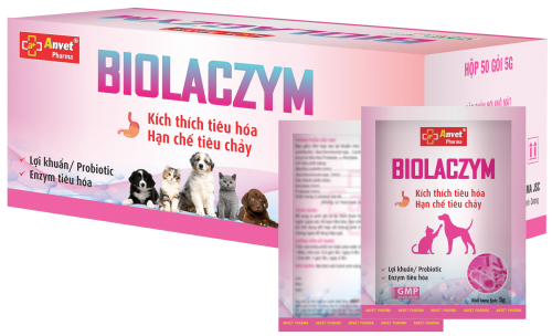BIOLACZYM