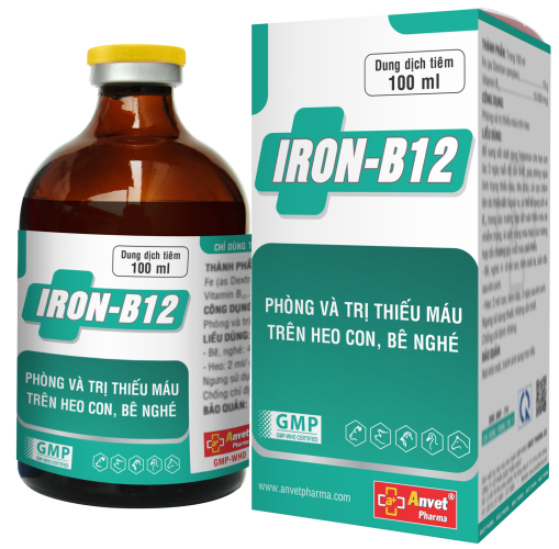 IRON-B12