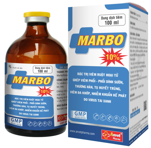 MARBO 10