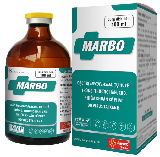 MARBO 5