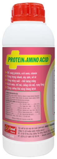 PROTEIN + AMINO ACID 