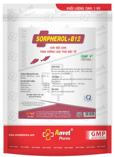 SORPHEROL + B12
