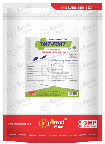 TMT - FORT 24+ LC