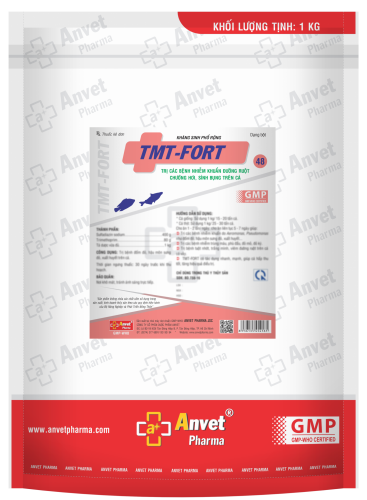 TMT - FORT 48