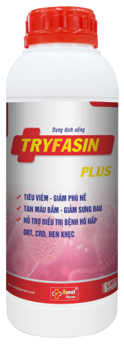 TRYFASIN PLUS