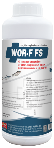 WOR-F FS 3