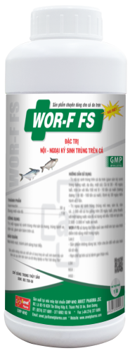 WOR - F FS 